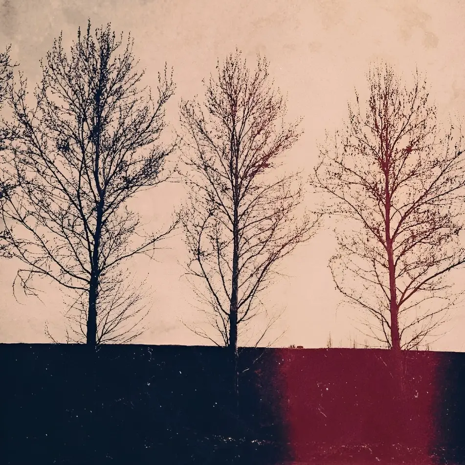 Crimson Shadows NFT项目铸造时间及参与要点解析