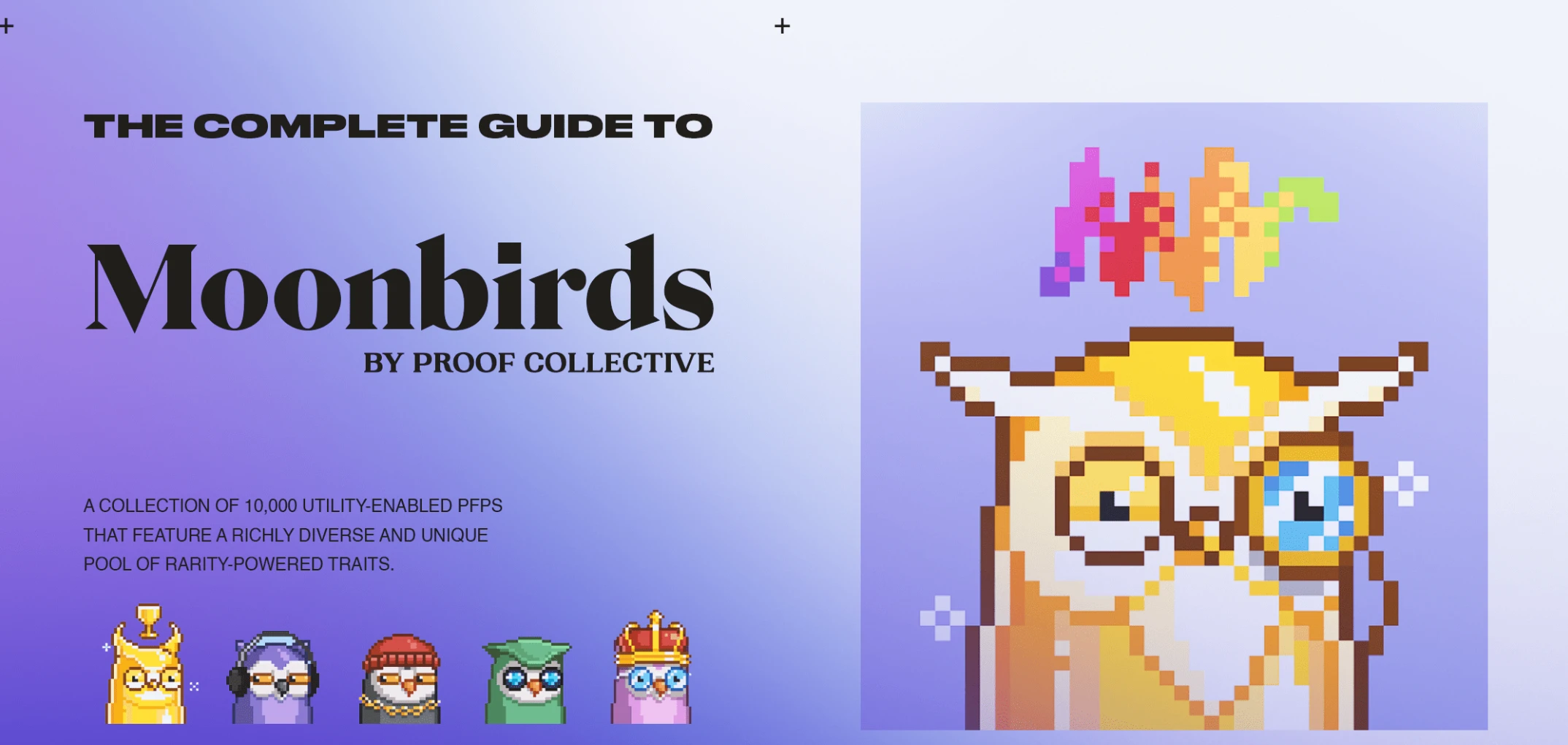 Moonbirds：PROOF推出效用PFP，筑巢功能解锁私人俱乐部与空投权益