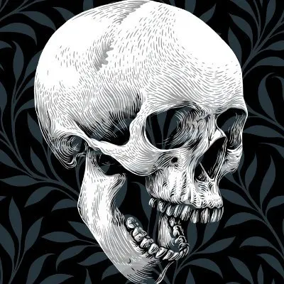 Requiem Art House《Hi-Oni》NFT项目铸造指南与风险提示