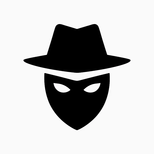 LVGDAO：Solana区块链NFT社区项目铸造期与参与指南