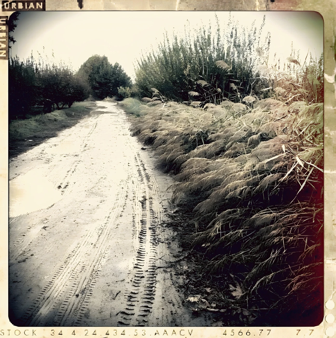 NFT艺术项目The Way Back Home铸造指南与风险提示