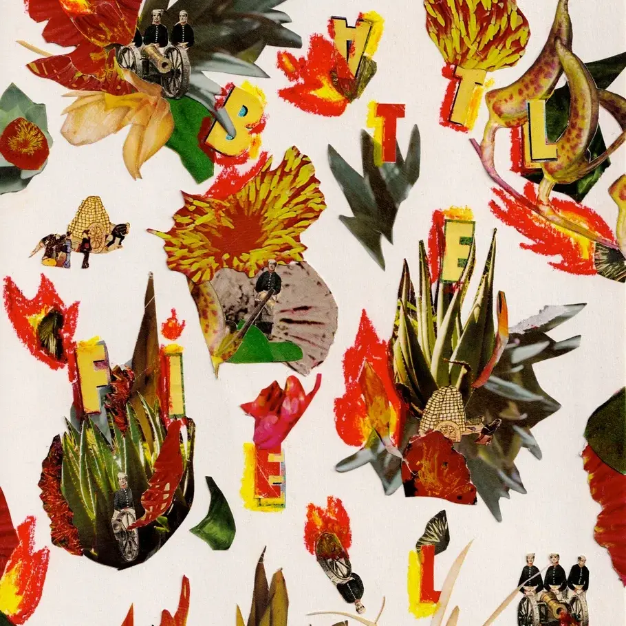 Anatomy of Collapse 04 - Chaos NFT系列铸造指南与风险提示