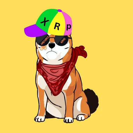 Hachiko NFT项目铸造指南：基于XRP Ledger的忠诚主题数字艺术
