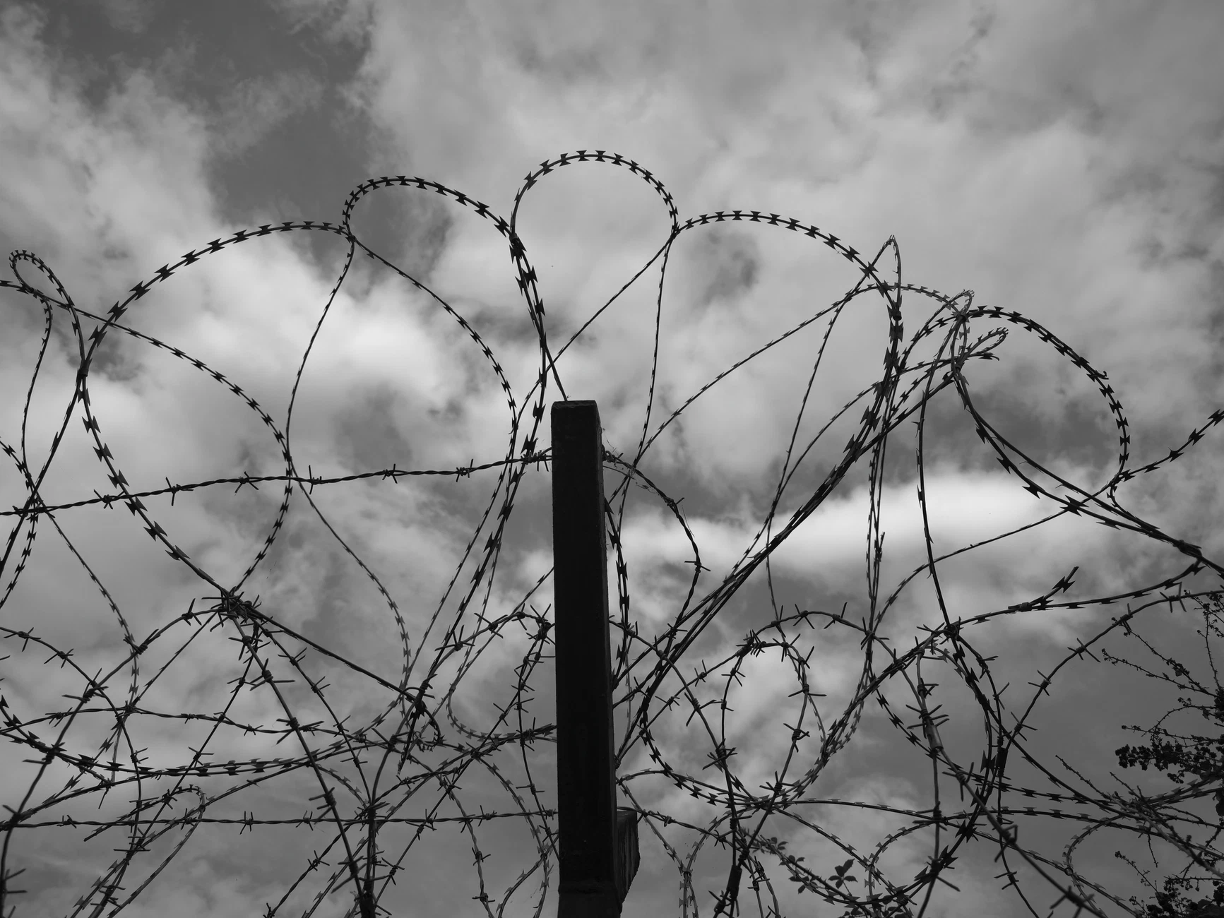 Wire 2区块链NFT项目：穿越障碍主题及铸造指南