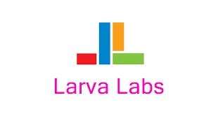 Larva Labs：从移动开发者到NFT先驱的破界之路