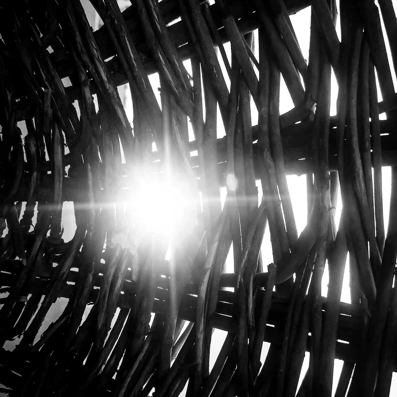 Sunwoven：基于区块链的NFT艺术项目铸造指南