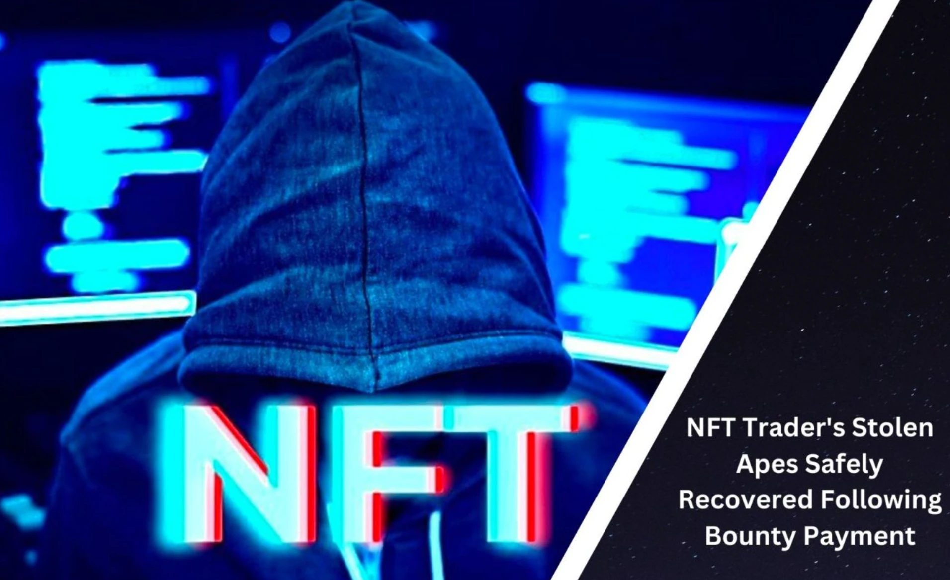 NFT会被盗吗？如何保护你的数字资产？