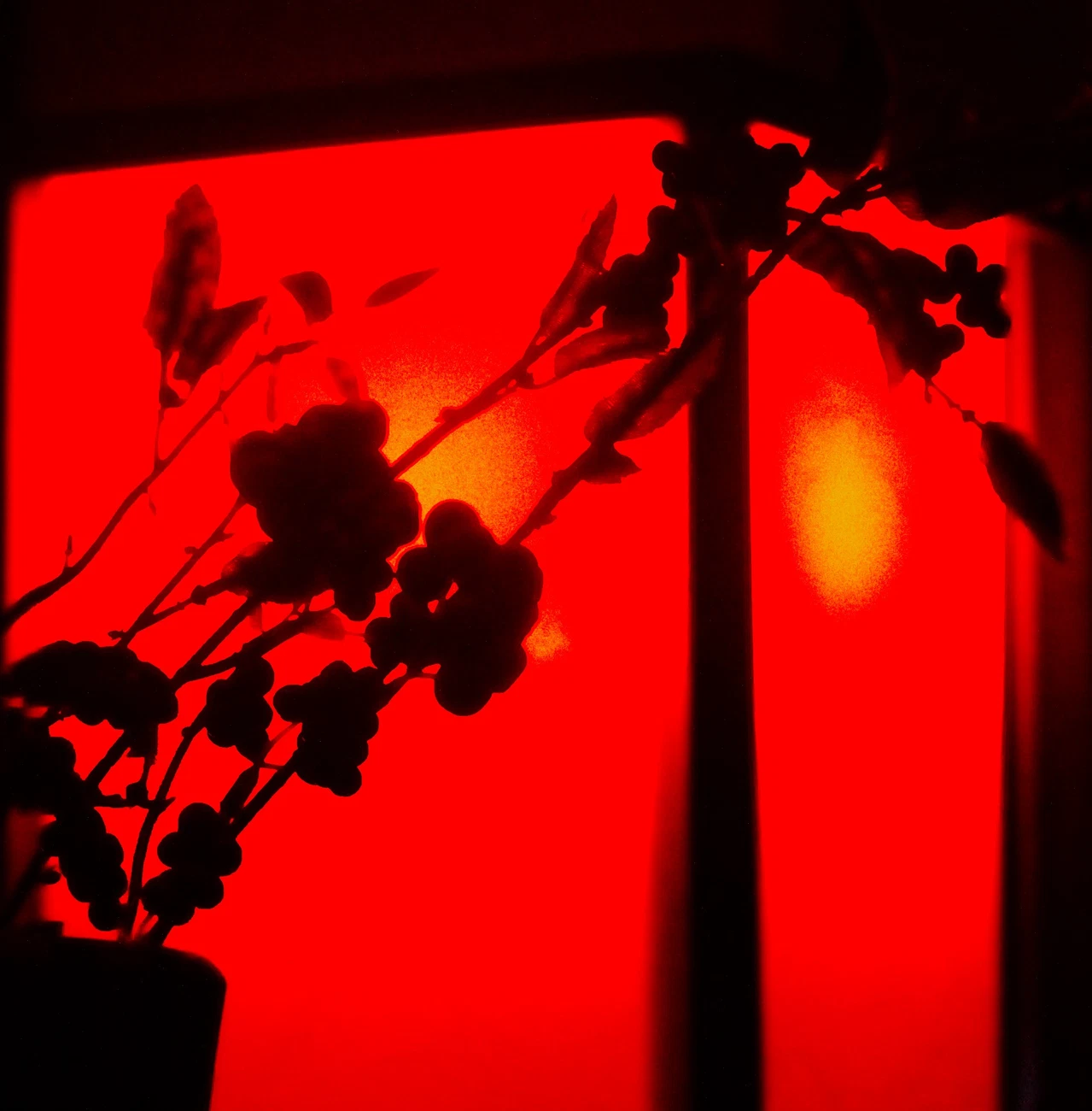 Blood on the leaves NFT项目铸造期及参与要点解析