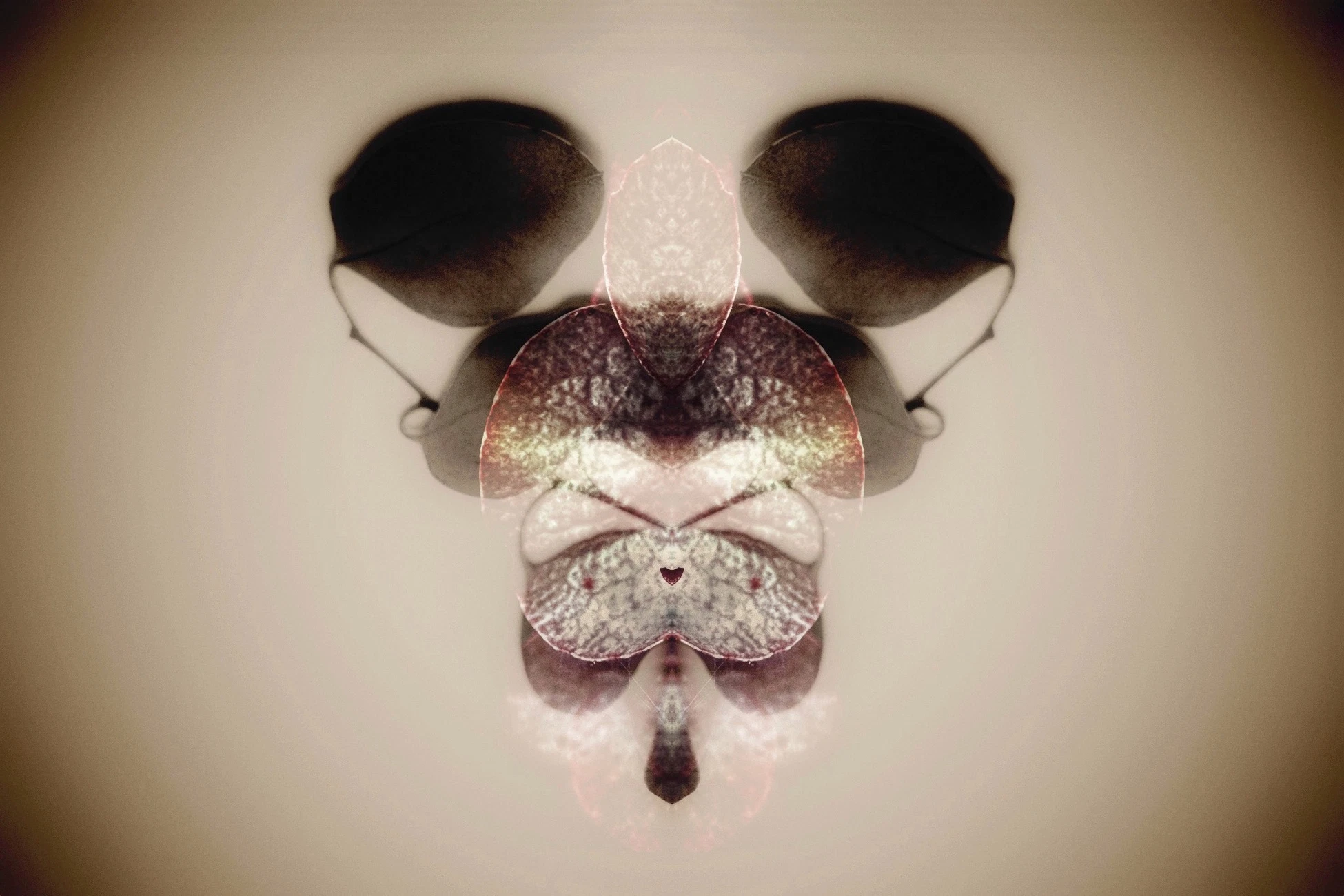 Intentions项目9月13日铸造 参与风险提示