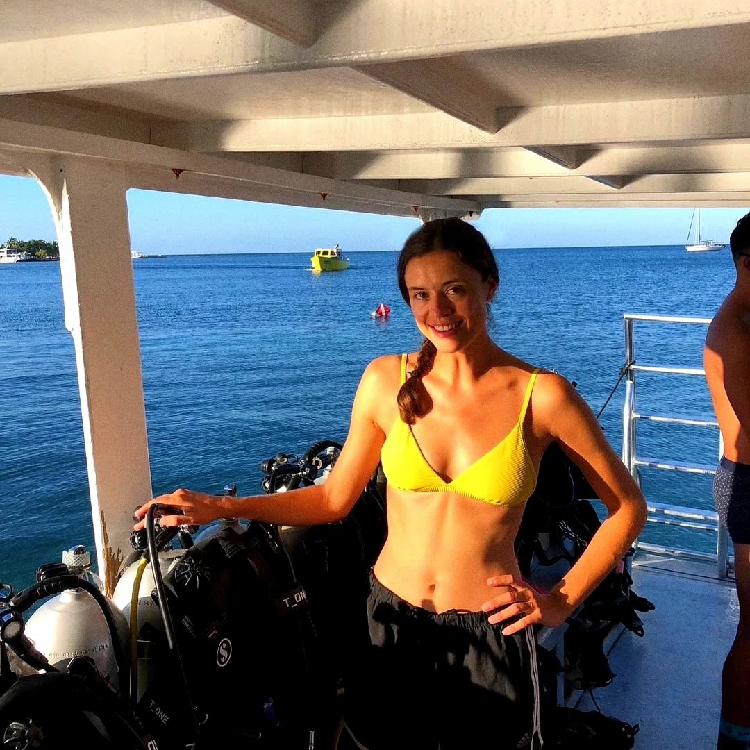 区块链NFT项目The stolen polaroids：铸造详情与风险提示